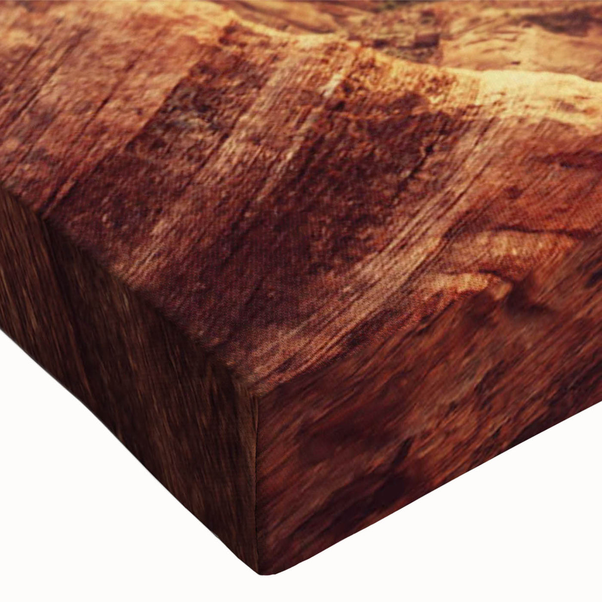 Close-up of a stretched canvas featuring a vibrant landscape of textured rocks and natural elements, ideal for home decor or art collection.