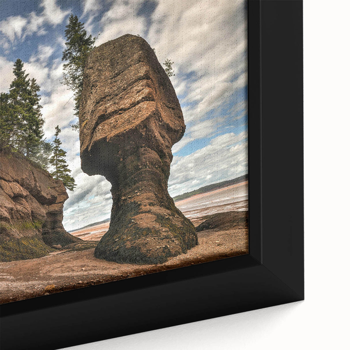 Framed canvas wall art showcasing a close-up of a vibrant landscape with textured rocks and earthy tones, perfect for enhancing home décor in modern settings.