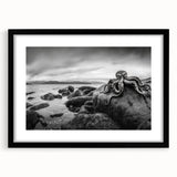 Black-framed wall art collection showcasing a stunning seascape design with a white mat, perfect for home decor, highlighting serene ocean waves and vibrant colors.