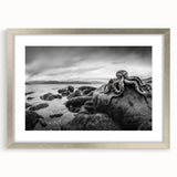 Elegant silver frame showcasing a landscape seascape wall art collection with a white mat, perfect for enhancing modern home decor and adding a coastal touch.