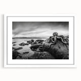 Framed wall art collection showcasing seascapes and landscapes, featuring a white mat and sleek frame, perfect for enhancing home decor with nature-inspired beauty.
