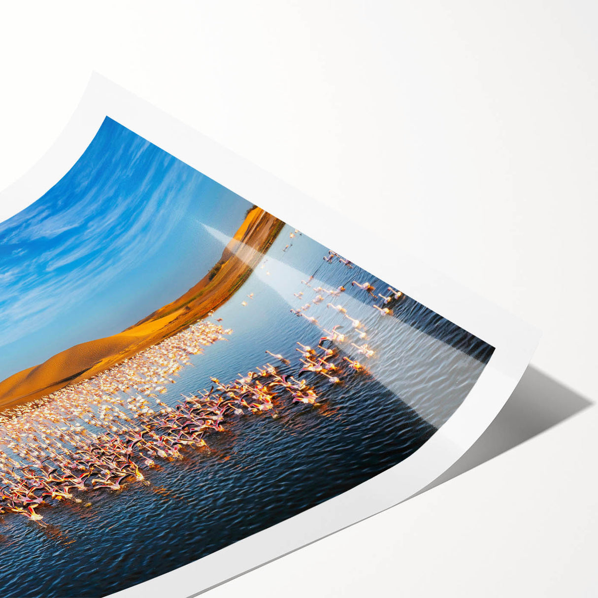 Colorful seascape wall art print depicting serene ocean waves and sunset hues, rolled and ready for framing, perfect for coastal decor enthusiasts.