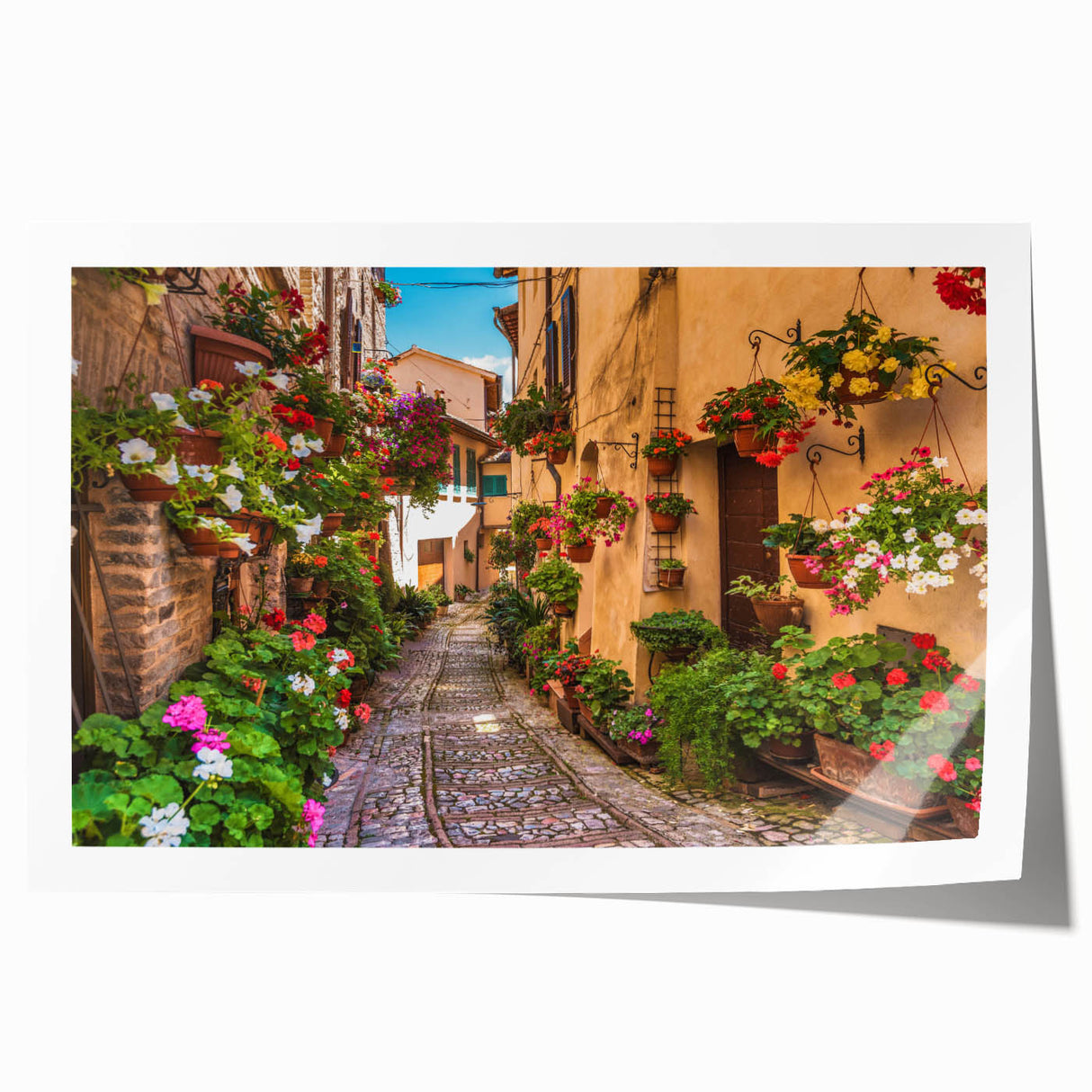 Rolled print showcasing a vibrant street landscape design, featuring colorful buildings and dynamic urban elements, perfect for modern home decor.