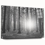 Acrylic glass wall art collection depicting a serene landscape with trees, displayed from a side view, featuring vibrant colors and detailed textures, ideal for home decor.