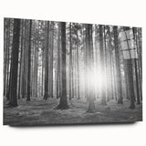 Acrylic glass wall art design showcasing a vibrant landscape with trees, presented in a modern side view. Perfect for enhancing home decor with nature-inspired aesthetics.