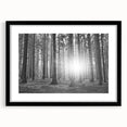 Framed wall art featuring a serene landscape design of trees, presented in a sleek black frame with a mat, ideal for enhancing modern home decor.