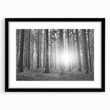 Framed wall art featuring a serene landscape design of trees, presented in a sleek black frame with a mat, ideal for enhancing modern home decor.