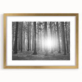 Framed wall art featuring a serene landscape with vibrant trees, presented in a stylish gold frame with a white mat, adding elegance to home decor.