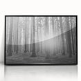 Framed acrylic wall art featuring a modern landscape design with trees, set against a striking black background, ideal for contemporary home decor.
