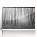 Framed acrylic wall art featuring a serene landscape with lush green trees, designed to enhance home decor with a modern touch, presented in a sleek white frame.