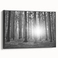 Framed canvas wall art featuring a serene landscape with trees, showcasing vibrant green foliage and a tranquil atmosphere, perfect for home decor.