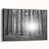 Framed canvas wall art featuring a serene landscape with trees, showcasing vibrant green foliage and a tranquil atmosphere, perfect for home decor.