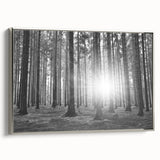 Framed canvas wall art showcasing a serene landscape with trees, featuring a silver frame that enhances its elegance. Perfect for home decor, adding a touch of nature.