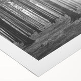 Rolled canvas wall art showcasing a serene landscape with vibrant trees, ideal for home decor. Features rich colors and a textured finish for added depth.