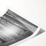 Rolled print showcasing a vibrant landscape featuring lush green trees against a serene blue sky, ideal for home decor and nature-inspired design.