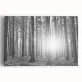 Stretched canvas wall art featuring a scenic landscape with vibrant green trees and blue sky, perfect for nature-themed decor. Ideal for adding a calming atmosphere to any room.