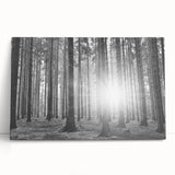 Stretched canvas wall art showcasing a serene landscape with lush green trees and a calming blue sky, perfect for nature-inspired home decor.