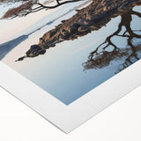 Rolled canvas art displaying a vibrant landscape of trees with rich green foliage and a serene blue sky, perfect for home decor and nature lovers.