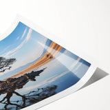 Rolled print showcasing a vibrant landscape design with colorful trees against a serene backdrop, perfect for home decor. Ideal for adding a touch of nature to any room.