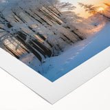 Vibrant rolled canvas art depicting a serene landscape with lush green trees and a tranquil sky, ideal for enhancing home decor and creating a peaceful ambiance.