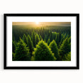 Framed wall art featuring a serene landscape design with trees, presented in a black frame with a mat, perfect for home decor and interior design aesthetics.