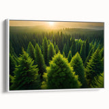 Framed wall art collection showcasing a serene landscape with tall trees, set against a white background, perfect for modern home decor. Ideal for nature lovers.