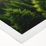 Rolled canvas wall art showcasing a vibrant landscape with lush green trees and a serene blue sky, perfect for adding a natural touch to any room decor.