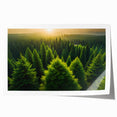 Rolled print of a serene landscape featuring lush green trees against a clear blue sky, ideal for home decor, enhancing ambiance with nature-inspired art.