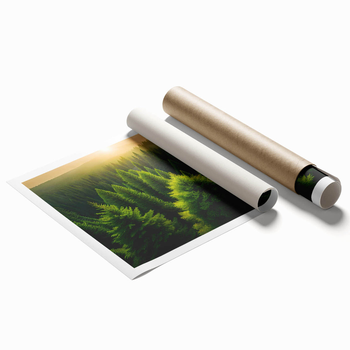 Rolled print showcasing a serene landscape with vibrant green trees and a tranquil sky, perfect for home decor, delivered in a protective cardboard tube.