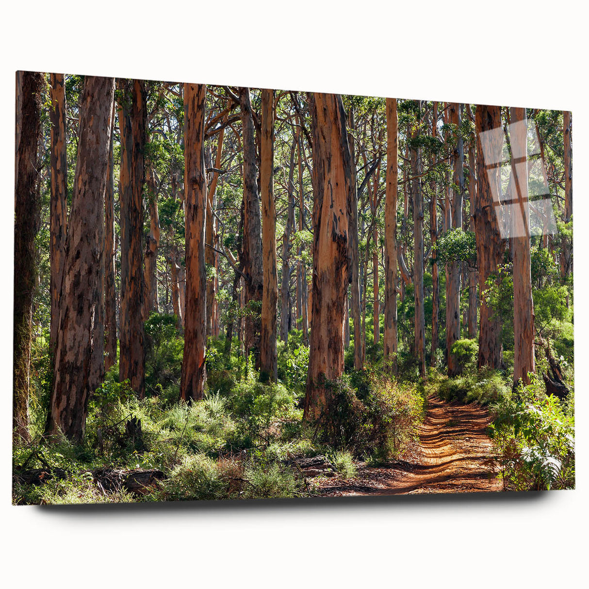 Acrylic glass wall art showcasing a vibrant landscape design with colorful trees, displayed from a side view. Ideal for modern home decor, adding a nature-inspired touch to any room.