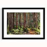 Framed wall art collection showcasing a vibrant landscape with trees, featuring a sleek black frame and mat, perfect for enhancing home decor.