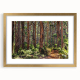 Framed wall art showcasing a serene landscape with trees, featuring a gold mat and elegant design, ideal for enhancing home decor with a touch of nature.
