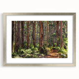 Framed wall art featuring a serene landscape with trees, designed in a modern silver frame with a mat, perfect for enhancing home decor and adding a touch of nature.
