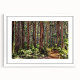 Framed wall art collection featuring a serene landscape design with trees, set in a white mat and frame. Perfect for enhancing home decor with a natural touch.