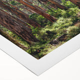 Vibrant rolled canvas wall art showcasing a serene landscape with lush green trees and a bright blue sky, perfect for home decor and nature-inspired aesthetics.