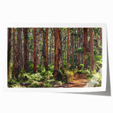 Vibrant rolled print showcasing a serene landscape with lush green trees and a tranquil sky, ideal for home decor or art collection. Perfect for enhancing interior aesthetics and bringing nature indoors.