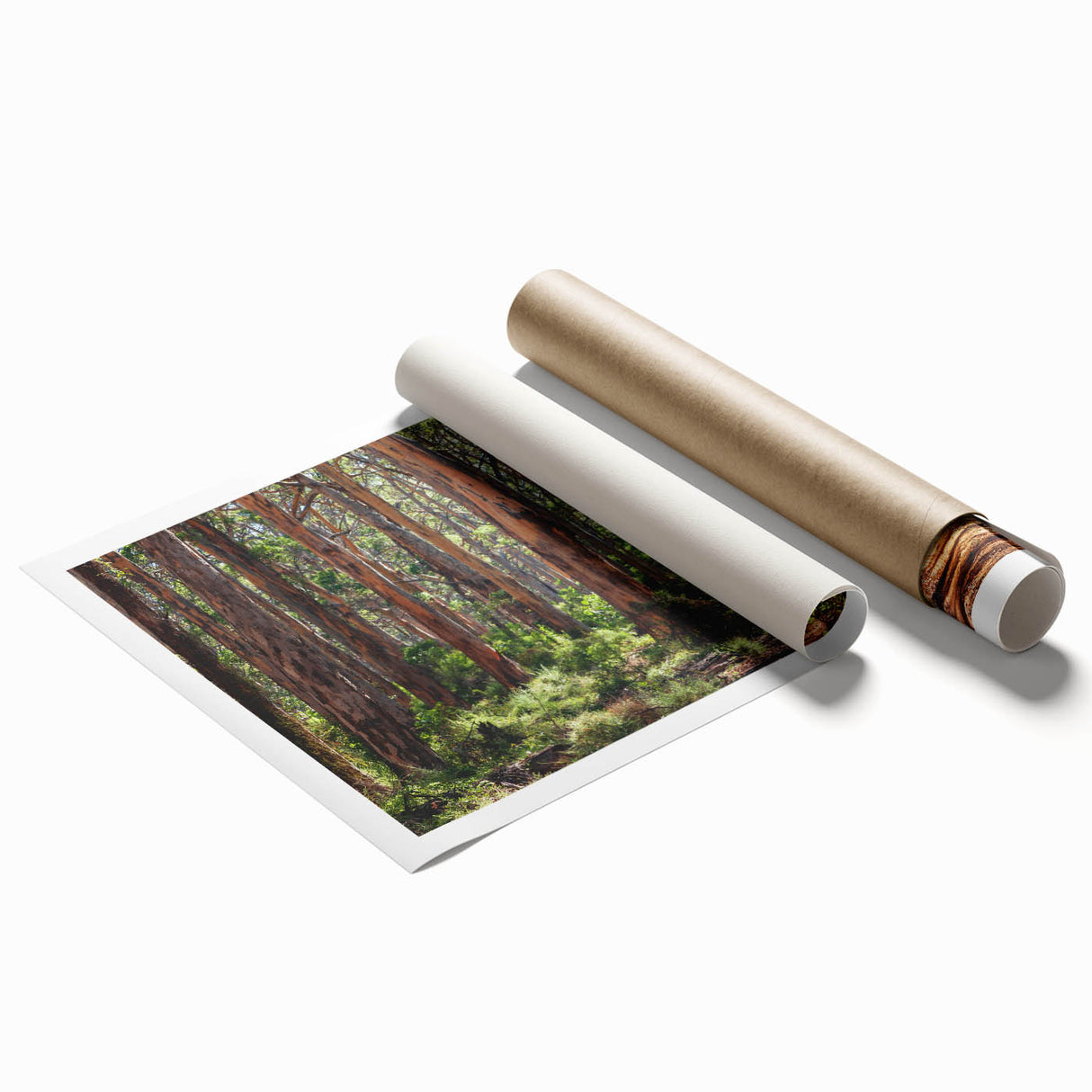 Vibrant rolled print of a landscape featuring lush green trees and a serene natural setting, showcasing intricate details, perfect for home decor.