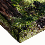 Close-up of a vibrant stretched canvas wall art piece showcasing a serene landscape with lush green trees and a soft blue sky, perfect for home decor.