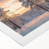 Rolled canvas wall art showcasing a vibrant landscape with stylized trees and colorful foliage, ideal for home decor enhancement and artistic ambiance.