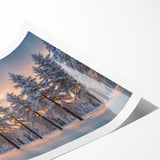 Vibrant rolled print of a serene landscape featuring tall trees and a tranquil atmosphere, ideal for home decor, showcasing natural beauty and harmony.
