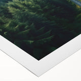 Vibrant rolled canvas showcasing a serene landscape design with lush green trees and a tranquil blue sky, perfect for enhancing home decor and adding a natural touch.