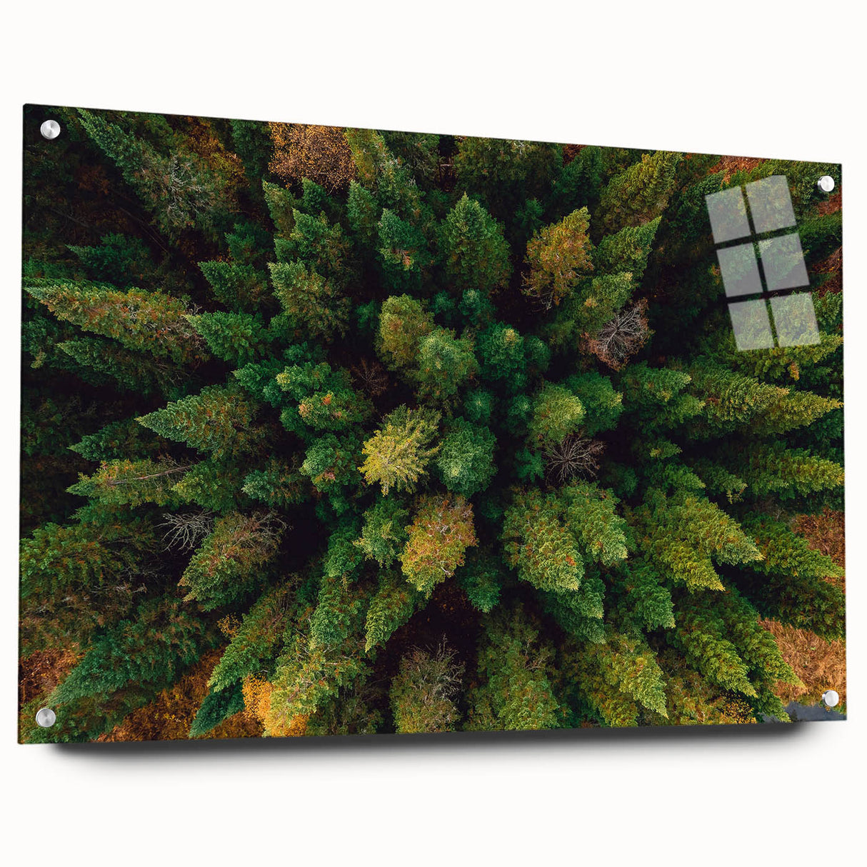 Acrylic glass wall art collection displaying a vibrant landscape design with trees, showcasing rich colors and intricate details, ideal for modern decor.