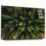 Acrylic glass wall art collection displaying a vibrant landscape design with trees, showcasing rich colors and intricate details, ideal for modern decor.
