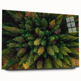 Acrylic glass wall art collection showcasing vibrant landscapes and trees, featuring a side view design that emphasizes depth and color richness, perfect for modern decor.