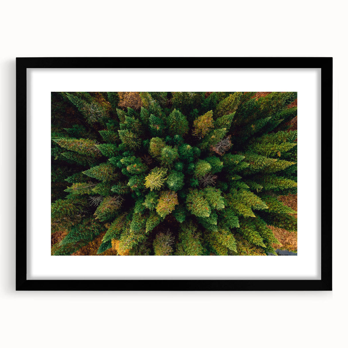 Framed black wall art featuring a vibrant landscape design with trees, showcasing rich colors and intricate details, perfect for enhancing modern home decor.
