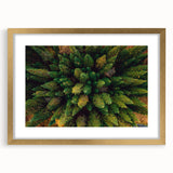 Framed wall art collection showcasing a vibrant landscape with trees, featuring a gold mat and frame, perfect for enhancing home decor and interior design aesthetics.