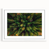 Framed wall art showcasing a serene landscape with trees, featuring a white mat and sleek frame, perfect for modern home decor. Ideal for nature enthusiasts.