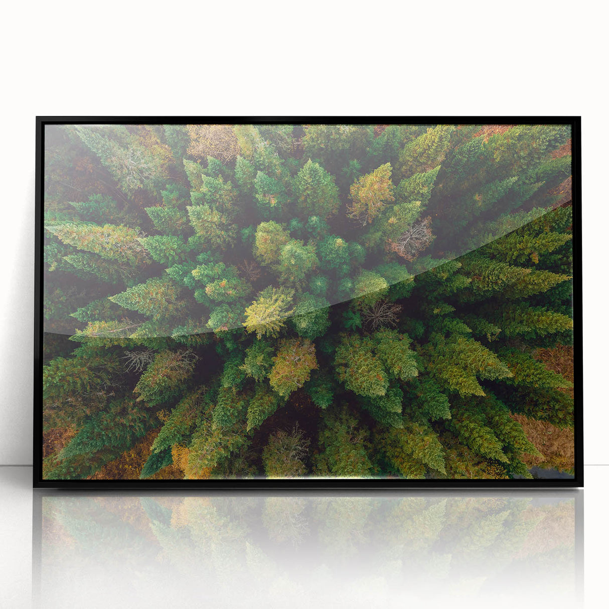 Framed acrylic wall art showcasing a vibrant landscape design featuring lush green trees, set against a black frame, perfect for home decor and nature enthusiasts.