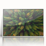 Framed acrylic wall art showcasing a serene landscape with trees, designed for modern decor. The white frame enhances the vibrant colors and intricate details, perfect for adding elegance to any space.