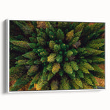 Framed canvas wall art featuring a serene landscape design with trees, presented in a sleek white frame against a neutral backdrop, perfect for home decor.